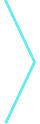 Casushi arrow